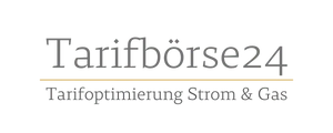 logo-tarifboerse24-tarifoptimierung-strom-und-gas-wechselservice-transparent
